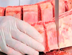 Lmina de Serra Fita Inox Mk Starrett para Carne e Ossos